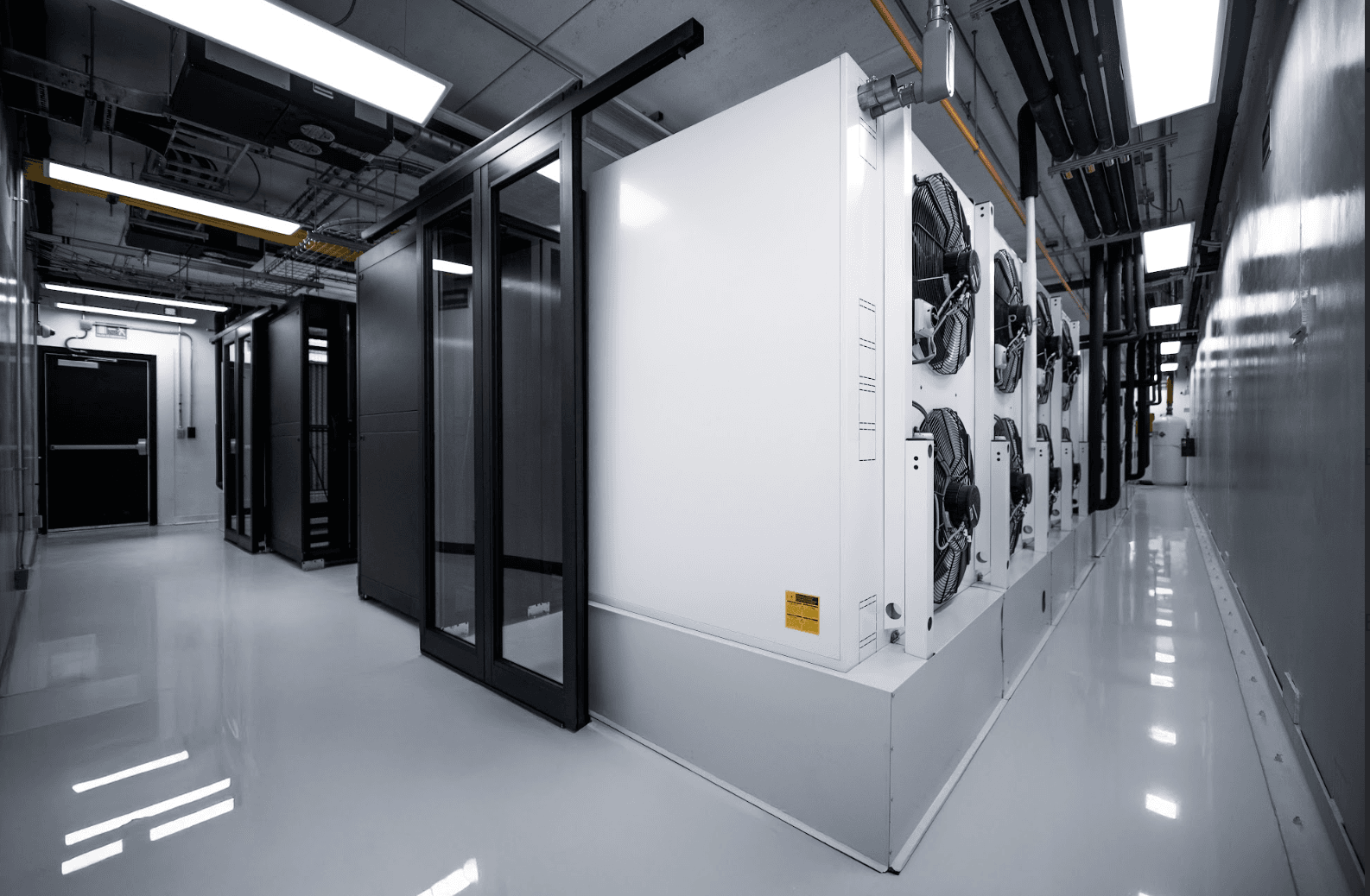 Bleeding Edge QRO1 - Screenshot 2026-03-19 at 2.09.17 p.m..png