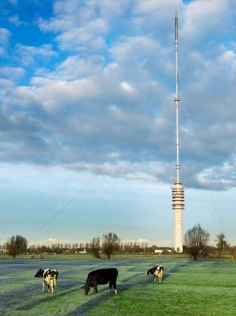 Cellnex IJsselstein